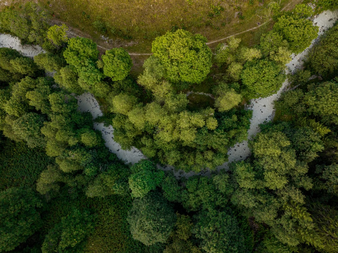 Vue zénithale — 23
